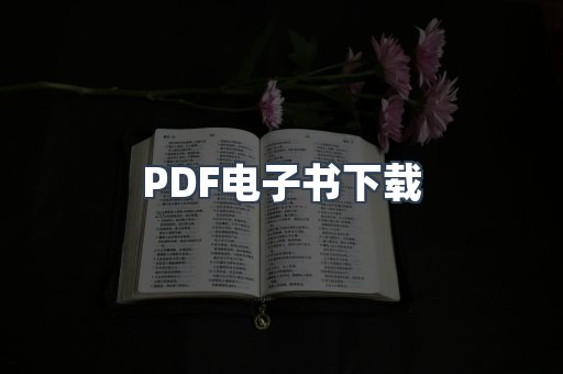 PDF电子书